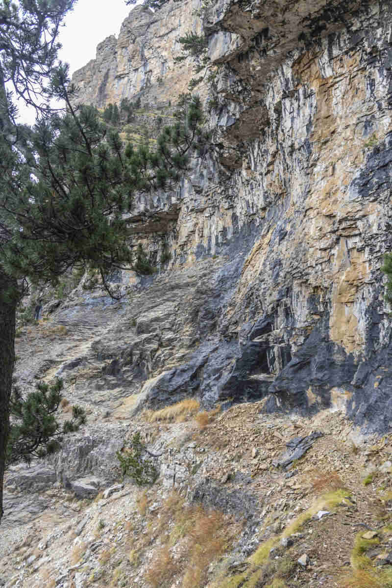 Huesca - parque nacional de Ordesa y Monte Perdido - valle de Ordesa 117 - faja Canarellos.jpg